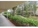 Lush courtyard with mature trees, manicured landscaping and covered walkways in a tranquil setting at 10033 64Th N Ave # 4, St Petersburg, FL 33708