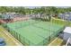 An outdoor sports court with pickle ball and basketball, surrounded by trees and amenities at 11913 Butler Woods Cir, Riverview, FL 33579