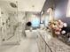Spa-like bathroom showcasing a soaking tub, marble shower, and stylish vanity at 14509 Thornfield Ct, Tampa, FL 33624