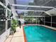 Pool with screened enclosure, complemented by lush greenery, creating a private and tranquil outdoor space at 14509 Thornfield Ct, Tampa, FL 33624