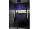 Modern shower with a rain shower head, built-in niche, and dark stone accents at 14509 Thornfield Ct, Tampa, FL 33624