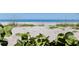 Beautiful beach view framed by lush greenery on a clear day at 1520 Gulf Blvd # 1502, Clearwater Beach, FL 33767