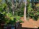 Backyard featuring lush landscaping and garden beds in a serene and inviting outdoor space at 1875 Harmony Dr, Clearwater, FL 33756