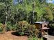An outdoor oven with stone accenting surrounded by trees and landscaping at 1875 Harmony Dr, Clearwater, FL 33756