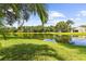 Scenic backyard view featuring a serene pond and lush green lawn, framed by a palm tree at 4511 Preston Woods Dr, Valrico, FL 33596