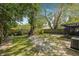 Green backyard showing large tree providing lots of shade at 4532 Cedarwood Village Dr, Tampa, FL 33624