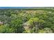 Aerial view shows the property nestled among mature trees, offering privacy and a natural setting at 950 Waverly St, Oldsmar, FL 34677