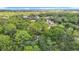 Beautiful aerial shot of the property nestled among lush trees with a view of the surrounding area at 950 Waverly St, Oldsmar, FL 34677