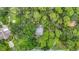 An aerial view of a lush property featuring an overgrowth of trees at 950 Waverly St, Oldsmar, FL 34677