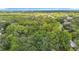 Expansive aerial view showcasing the lush greenery and beautiful landscape surrounding the property at 950 Waverly St, Oldsmar, FL 34677