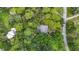 An aerial view of a lush property featuring an overgrowth of trees with a home nearby a road at 950 Waverly St, Oldsmar, FL 34677