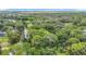 This aerial view captures the property surrounded by lush trees and landscaped streets at 950 Waverly St, Oldsmar, FL 34677