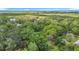 Lush aerial view of the property showcasing mature trees, surrounding greenery, and distant water views at 950 Waverly St, Oldsmar, FL 34677