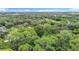 Lush green surroundings envelop this property, as seen from above, highlighting a peaceful setting at 950 Waverly St, Oldsmar, FL 34677