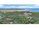 Breathtaking aerial perspective shows the property's location surrounded by verdant trees at 950 Waverly St, Oldsmar, FL 34677