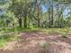 Private backyard with mature trees and natural landscaping, creating a tranquil outdoor space at 950 Waverly St, Oldsmar, FL 34677