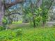 Private backyard featuring mature trees and native plants, creating a serene outdoor space at 950 Waverly St, Oldsmar, FL 34677