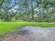 Large grassy backyard framed by mature trees and landscaping, offering ample outdoor space at 950 Waverly St, Oldsmar, FL 34677