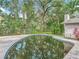 A full view of the kidney-shaped pool and well-maintained backyard, perfect for outdoor relaxation at 950 Waverly St, Oldsmar, FL 34677
