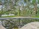 A full view of the kidney-shaped pool and well-maintained backyard, perfect for outdoor relaxation at 950 Waverly St, Oldsmar, FL 34677
