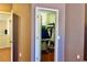 Walk-in closet with an open door and an ironing board at 18439 Red Willow Way, Land O Lakes, FL 34638