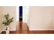 Hallway with wood floors and a plant at 18439 Red Willow Way, Land O Lakes, FL 34638