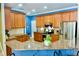 Charming kitchen boasts stainless steel appliances, granite countertops, and ample cabinet space at 18439 Red Willow Way, Land O Lakes, FL 34638
