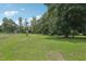 Expansive backyard features lush lawn, mature trees, and plenty of space for outdoor activities at 26223 Chianina Dr, Wesley Chapel, FL 33544