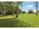 Expansive front yard features mature trees, offering a serene and natural setting for this property at 26223 Chianina Dr, Wesley Chapel, FL 33544