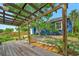 Backyard patio area featuring a wooden pergola, lush greenery and mature trees at 301 Kingston S St, St Petersburg, FL 33711