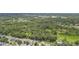 An aerial view showcases homes near a conservation area providing a lush backdrop of natural beauty at 3530 Brook Crossing Dr, Brandon, FL 33511