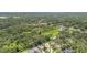 An aerial view shows homes near a wooded conservation area, offering tranquil and scenic surroundings at 3530 Brook Crossing Dr, Brandon, FL 33511