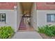 Building entrance featuring a staircase and landscaped greenery at 3836 N Lake Dr # 121, Tampa, FL 33614