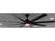 Modern ceiling fan with sleek design and integrated lighting at 8524 Fish Lake Rd, Tampa, FL 33619