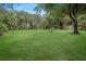 Large backyard with trees at 8610 Fish Lake Rd, Tampa, FL 33619
