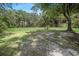 Large backyard with trees at 8610 Fish Lake Rd, Tampa, FL 33619