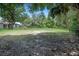 Expansive backyard with mature trees offering privacy and plenty of room at 8610 Fish Lake Rd, Tampa, FL 33619
