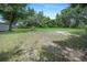 Large backyard featuring mature trees and a wooden fence for privacy at 8610 Fish Lake Rd, Tampa, FL 33619