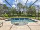 Screened-in pool area with water features, lush landscaping, and lounge seating at 1014 Stella Vara Dr, Lutz, FL 33548