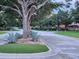 Landscaped corner in a peaceful neighborhood featuring mature trees and greenery at 10539 Egret Haven Ln, Riverview, FL 33578