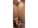 Simple powder room featuring a standard toilet and light-colored walls at 10539 Egret Haven Ln, Riverview, FL 33578