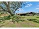Well-maintained backyard showing lush greenery, mature landscaping, and the home's exterior at 1309 Sandalwood Dr, Plant City, FL 33563