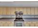 Kitchen offers stainless steel appliances, light wood cabinets and neutral countertops at 1309 Sandalwood Dr, Plant City, FL 33563