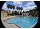 Resort-style pool with palm trees and ample seating for relaxation at 18001 Richmond Place Dr # 116, Tampa, FL 33647
