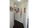 Dark wood floor in hallway with gallery wall and white trim at 3212 Stevenson St, Plant City, FL 33566