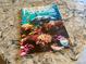 Paradise News magazine cover featuring underwater marine life and a dolphin at 459 Haven Point Dr, Treasure Island, FL 33706