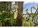 Beautiful waterfront view from the property showing mature tropical landscaping at 459 Haven Point Dr, Treasure Island, FL 33706