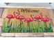 Whimsical door mat with a fun flamingo design. Perfect for a welcoming and playful entrance at 6045 2Nd N Ave, St Petersburg, FL 33710