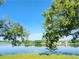 Scenic view of a serene lake surrounded by lush trees and clear blue skies at 7148 E Bank Dr # 7148, Tampa, FL 33617