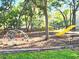 Community playground with dome, swings, slide, and bench surrounded by trees at 7148 E Bank Dr # 7148, Tampa, FL 33617